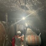 Lake of Bolsena: Private Cellar Tour and Wine Tasting - Why This Tour Works for Travelers