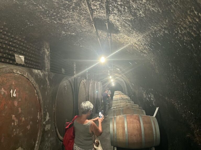 Lake of Bolsena: Private Cellar Tour and Wine Tasting - Why This Tour Works for Travelers
