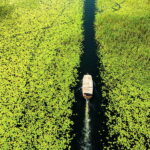 Lake Skadar: Guided Sightseeing Boat Tour with Drinks - FAQ