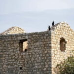 Lake Skadar: Short Boat Tour to Grmour Fortress with Drinks - Why This Tour Might Be Perfect for You