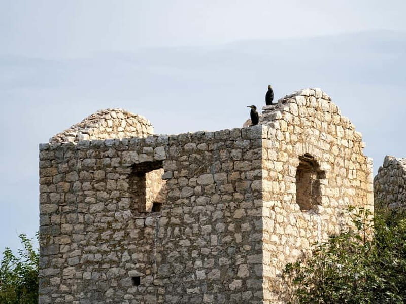 Lake Skadar: Short Boat Tour to Grmour Fortress with Drinks - Why This Tour Might Be Perfect for You