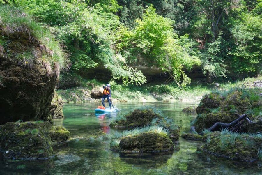 Lambach: Guided SUP & kayak tour through the Natura 2000 area Traun - An In-Depth Look at the Tour Experience
