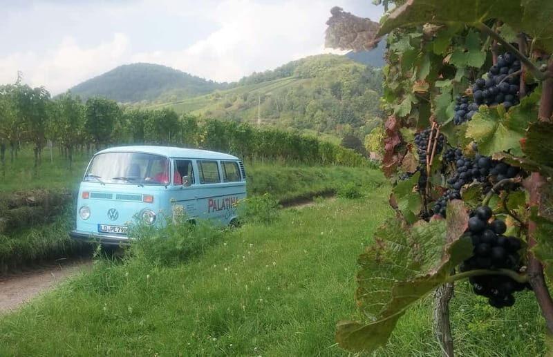 Landau: Tour in a vintage VW bus through the Palatinate wine country - The Itinerary Breakdown