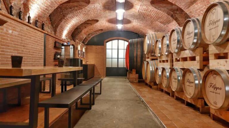 Langhe e Monferrato: Tour & Wine tasting of Agliano Wines - Authentic Wines and Local Flavors