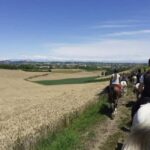 Langhe: Horse Riding in the Vineyards - What to Expect During the Ride