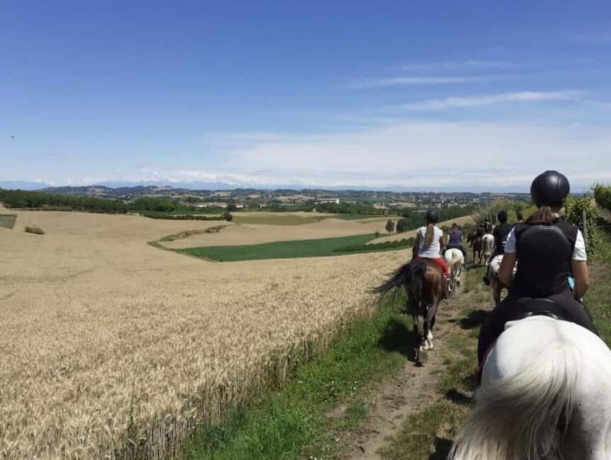 Langhe: Horse Riding in the Vineyards - What to Expect During the Ride
