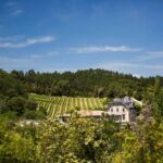 Languedoc: Terroir Tour & Tasting at Domaine de Baronarques - Who Will Love This Tour?