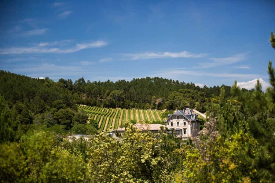 Languedoc: Terroir Tour & Tasting at Domaine de Baronarques - Who Will Love This Tour?