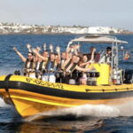 Lanzarote: Dolphin Watching by speedboat - Authentic Reviews and Insights