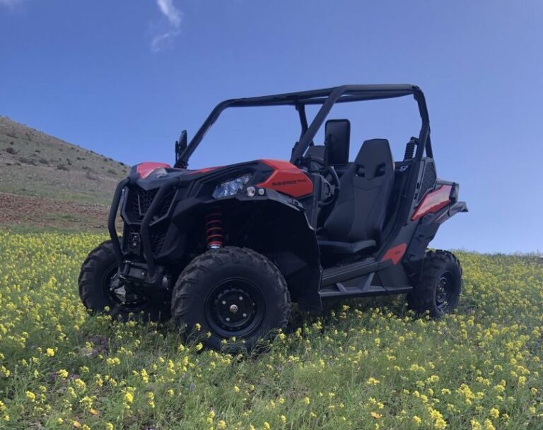 Lanzarote: Guided Can-Am Trail Buggy Tour - The Vehicles and Safety