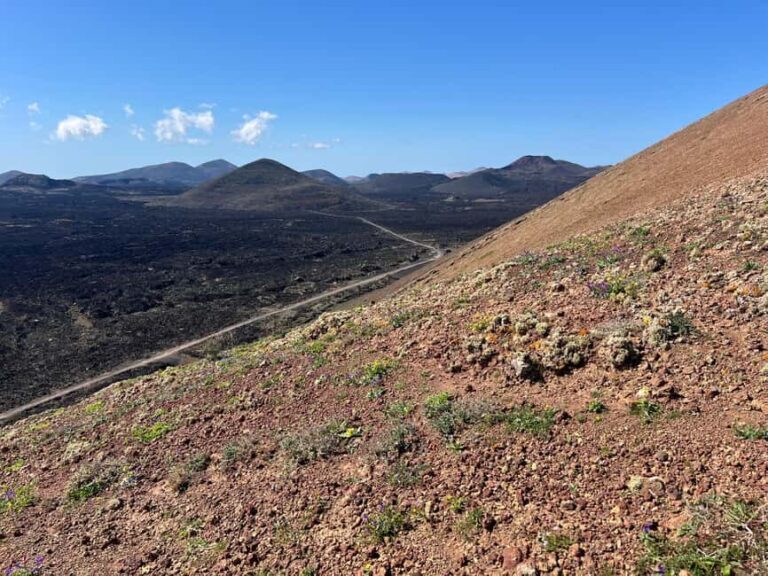 Lanzarote: Guided Hike discover volcano history and culture - Authentic Experiences Conveyed by Guides