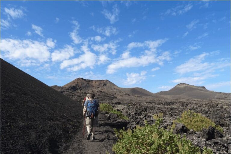 Lanzarote: Hike Across Timanfaya's Volcanic Landscapes - Is It Worth the Price?