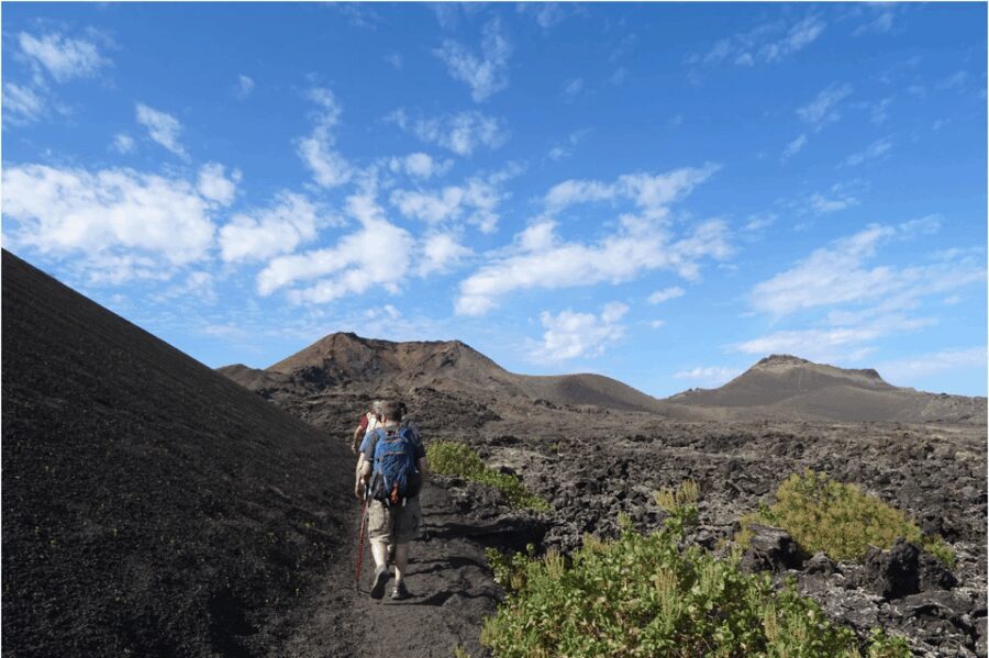 Lanzarote: Hike Across Timanfaya's Volcanic Landscapes - Is It Worth the Price?