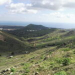 Lanzarote: Northern Cliffs & Valleys Walking tour - The Scenic Highlights