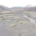 Lanzarote: On-Road Guided Buggy Volcano Tour - What’s Included and What’s Not