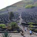 Lanzarote Shopping from Caleta de Fuste (Fuerteventura) - Who This Tour Is Best For