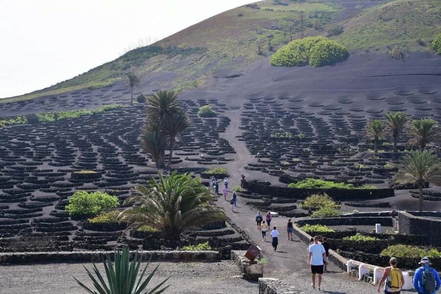 Lanzarote Shopping from Caleta de Fuste (Fuerteventura) - Who This Tour Is Best For
