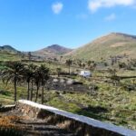 Lanzarote: Timanfaya Park and Jameos del Agua Full-Day Tour - What Makes This Tour Stand Out?