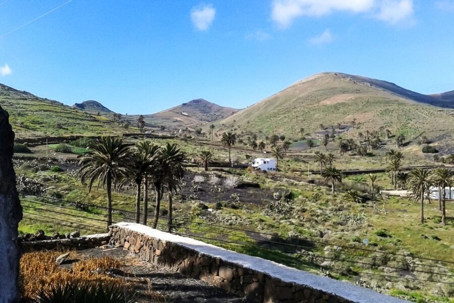 Lanzarote: Timanfaya Park and Jameos del Agua Full-Day Tour - What Makes This Tour Stand Out?