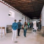 Lanzarote: Vineyard Tour & Wine Tasting with Cheese - Practical Details & What to Expect