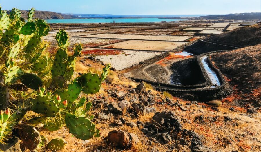 Lanzarote: Volcanos of Timanfaya and Caves Tour with Lunch - Transportation and Guides: Making the Experience Smooth