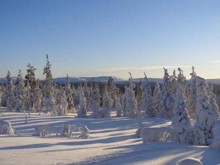Lapland: A Day at a Traditional Log Cabin & Snowshoe Trek - Key Points