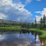 Lapland: Guided Hiking Tour in the Pristine Nature in Luosto - What Makes This Tour Stand Out