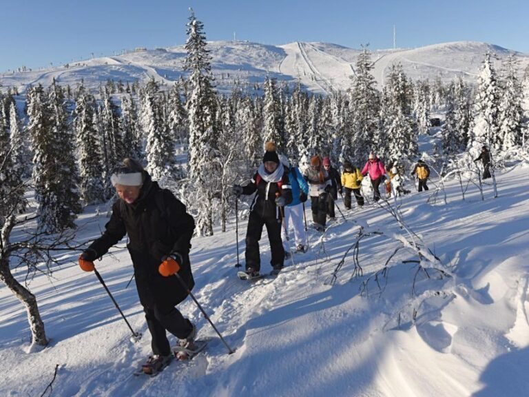 Lapland Levi: Panoramic snowshoeing - Why You Should Consider This Tour