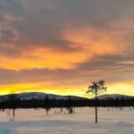 Lapland: Private Snowmobile Safari with arctic Local Guide - Who Is This Tour Best For?