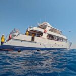Larnaca Bay Cruise with Snorkeling - Why This Tour is a Great Choice