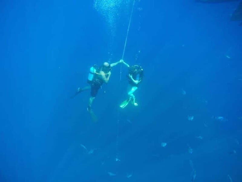 Larnaca: Private Zenobia Beginners Divers - The Value of the Experience