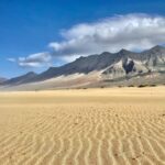 Las Palmas: Fuerteventura Cofete Beach and Desert Safari - Who Will Love This Tour?