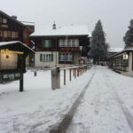 Lauterbrunnen: Private Walking Tour with an Irish Guide - What Makes This Tour Valuable?