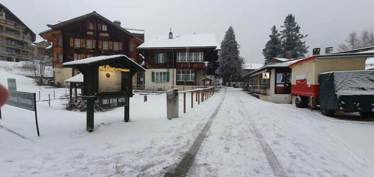 Lauterbrunnen: Private Walking Tour with an Irish Guide - What Makes This Tour Valuable?