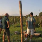 Lazise: Beekeeping Farm Tour and Tasting Experience - A Closer Look at the Lazise Beekeeping Farm Tour