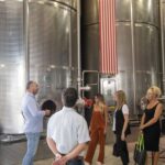 Lazise: Vineyard Tour and Organic Wine Tasting - Exploring Lazise: An Ideal Starting Point