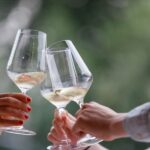 Lazise: Winery Tour with Garda Wines and Food Tasting - Who Will Love This Tour?