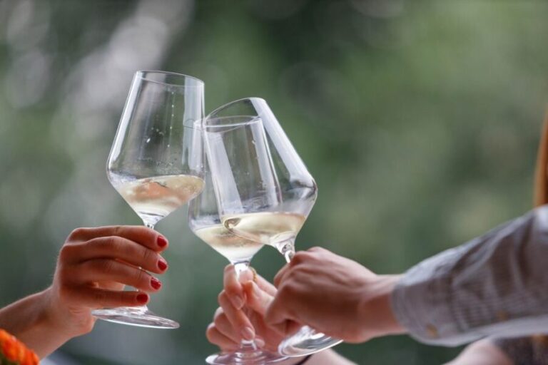 Lazise: Winery Tour with Garda Wines and Food Tasting - Who Will Love This Tour?