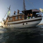 Lazy Full-Day Cruise - The Value of the Experience