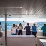 Le Grau-du-Roi - Sea trip to meet the fishing trawlers - The Practicalities