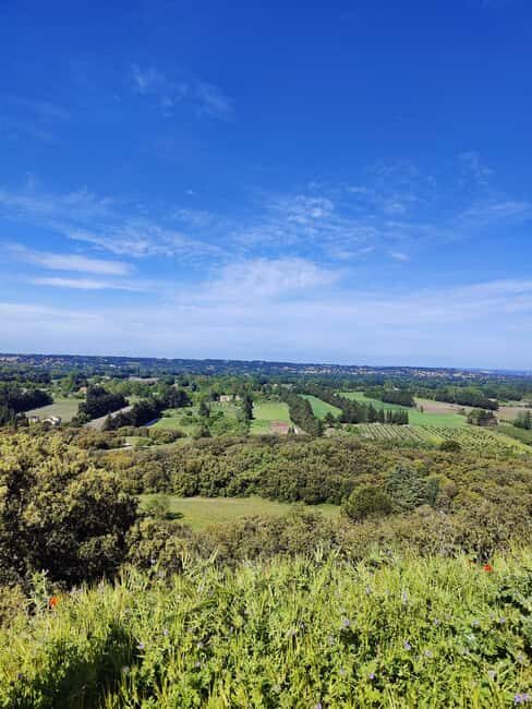 Le Thor, Châteauneuf De Gadagne, St-Saturnin Les Avignon by electric bike - The value of this experience