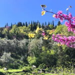 Lefkada: Mountain Gems Electric Fat Bicycle Tour & Tasting - Itinerary Breakdown: What to Expect