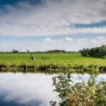Leiden: Windmill and Countryside Cruise near Keukenhof - The Value of the Experience