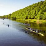 Leipzig: Private bike tour to the Neuseenland with certified guide - Who Will Love This Tour?