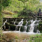 Leiria E-bike and Castel tour - Who Should Consider This Tour?