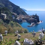 Lemon tour with limoncino and wine tasting in Vernazza (Cinque Terre) - The Trekking and Scenic Path