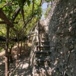 Lemons & Breathtaking Views: Amalfi Monumental Garden Tour - What Reviewers Say