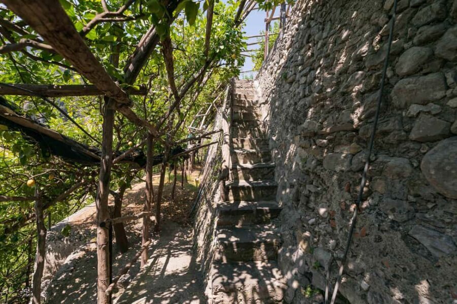 Lemons & Breathtaking Views: Amalfi Monumental Garden Tour - What Reviewers Say