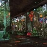 Les Baux De Provence and St-Rémy De Provence by electric bike - Why This Tour Offers Great Value