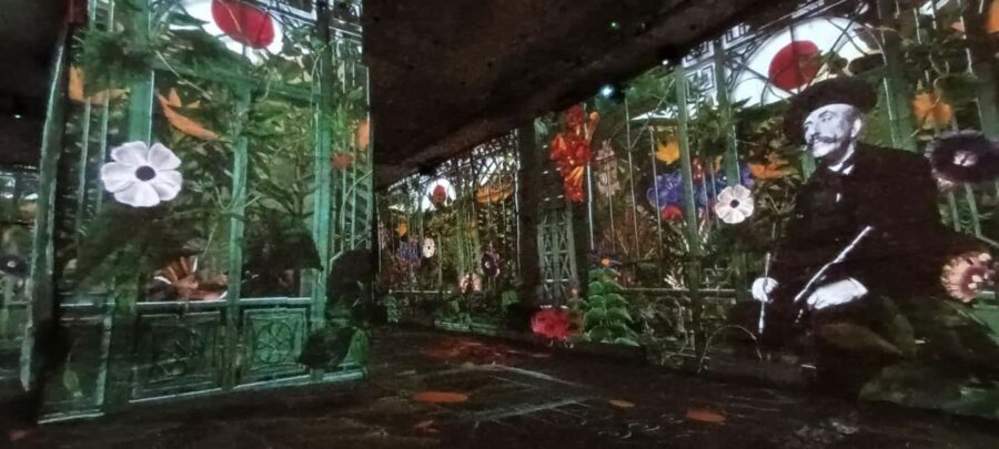 Les Baux De Provence and St-Rémy De Provence by electric bike - Why This Tour Offers Great Value